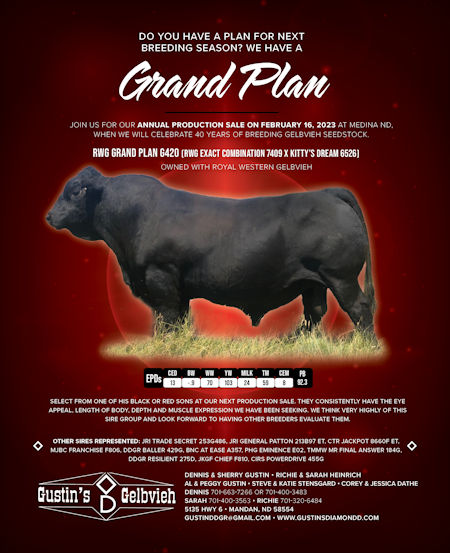 DiamondD Grand Plan Semen For Sale